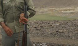 دستگیری یک نفر متخلف شکار وصید در حوزه استحفاظی شهرستان بستک