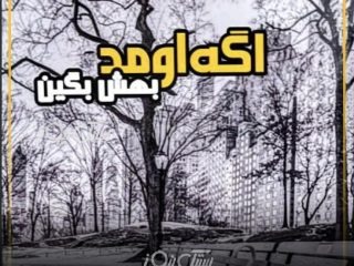 دومین کتاب شعر افسون سلامی منتشر شد