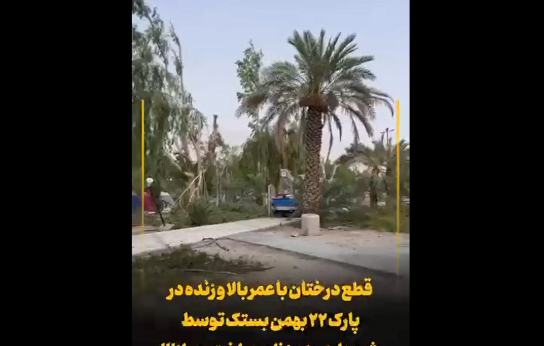 شهروند خبرنگار/قطع درختان با عمر بالا در پارک ۲۲ بهمن بستک