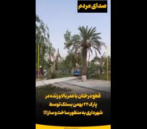 شهروند خبرنگار/قطع درختان با عمر بالا در پارک ۲۲ بهمن بستک