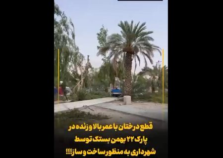 شهروند خبرنگار/قطع درختان با عمر بالا در پارک ۲۲ بهمن بستک