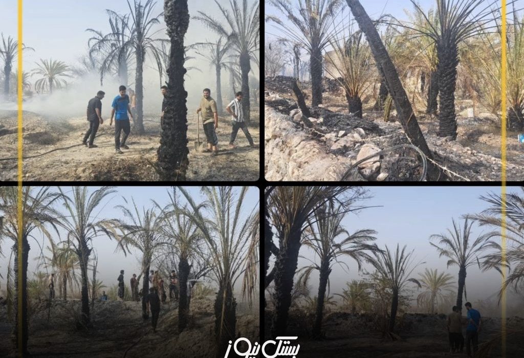 بیش از ۱۵۰ اصله نخل در روستای بستقلات طعمه حریق شد