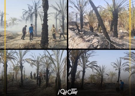 بیش از ۱۵۰ اصله نخل در روستای بستقلات طعمه حریق شد