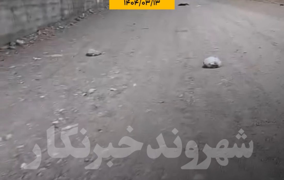 شهروند خبرنگار/صحنه زشت از پرتاب کیسه های زباله برخی از ساکنان مجتمع آشیانه بستک به کوچه پشتی