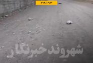 شهروند خبرنگار/صحنه زشت از پرتاب کیسه های زباله برخی از ساکنان مجتمع آشیانه بستک به کوچه پشتی