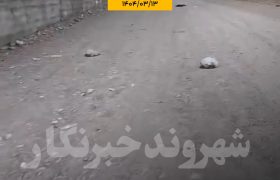 شهروند خبرنگار/صحنه زشت از پرتاب کیسه های زباله برخی از ساکنان مجتمع آشیانه بستک به کوچه پشتی