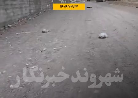 شهروند خبرنگار/صحنه زشت از پرتاب کیسه های زباله برخی از ساکنان مجتمع آشیانه بستک به کوچه پشتی