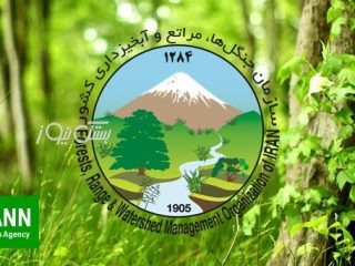 آغاز پایان منابع طبیعی؟ | مصوبه‌ای که نگران‌کننده‌تر از خشکسالی است