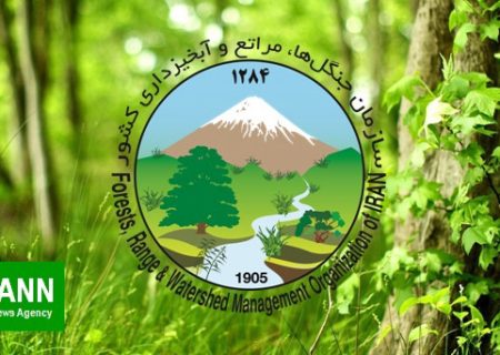 آغاز پایان منابع طبیعی؟ | مصوبه‌ای که نگران‌کننده‌تر از خشکسالی است