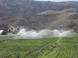 ۹۵ درصد مزارع شهرستان بستک به آبیاری نوین مجهز شدند