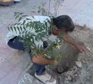 پیگیری رسانه ای نتیجه داد: کاشت درخت توسط مرد سبز بستک و ایجاد سایبان توسط خیرنیک‌اندیش برای مدرسه بوخش