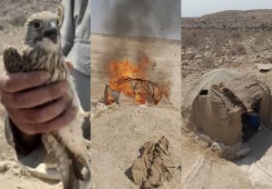 دستگیری متخلف شکار و صید پرندگان شکاری در شهرستان بستک