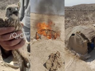 دستگیری متخلف شکار و صید پرندگان شکاری در شهرستان بستک