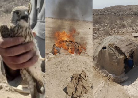 دستگیری متخلف شکار و صید پرندگان شکاری در شهرستان بستک