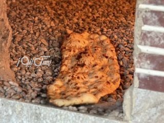 از سرگیری فعالیت نانوایی سنگک در بستک پس از وقفه دو ماهه