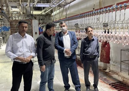 بازدید شبانه رئیس حوزه قضایی بستک از کشتارگاه زرین‌بال