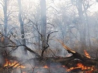 هشدار درباره افزایش خطر آتش‌سوزی در مراتع و جنگل‌های شهرستان بستک