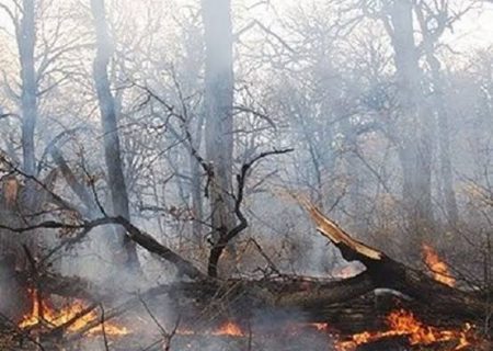 هشدار درباره افزایش خطر آتش‌سوزی در مراتع و جنگل‌های شهرستان بستک