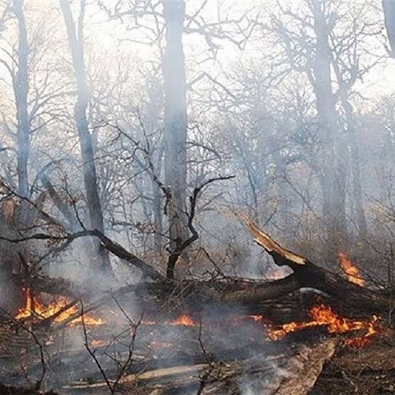 هشدار درباره افزایش خطر آتش‌سوزی در مراتع و جنگل‌های شهرستان بستک