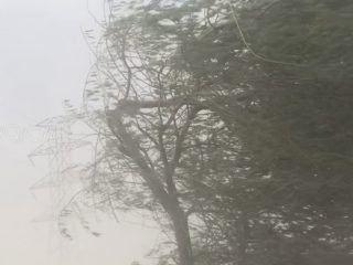 گزارش ویدیویی/تندباد شدید در بستک/سقوط ۲۰ تیر برق و قطعی چندساعته برق در مناطق مختلف