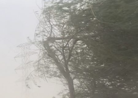 گزارش ویدیویی/تندباد شدید در بستک/سقوط ۲۰ تیر برق و قطعی چندساعته برق در مناطق مختلف