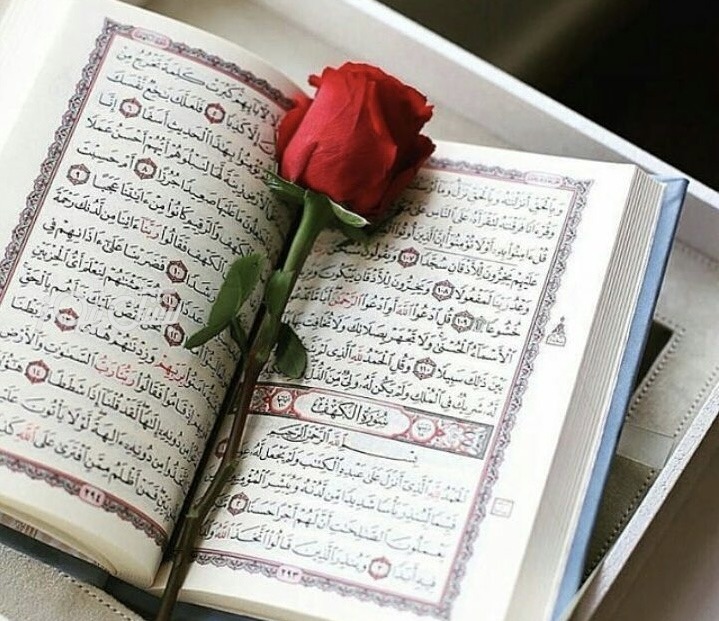 درخشش حافظان بستکی در مرحله استانی چهل‌ و نهمین دوره مسابقات قرآن کریم