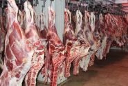تعیین نرخ جدید گوشت قرمز در ستاد تنظیم بازار شهرستان بستک
