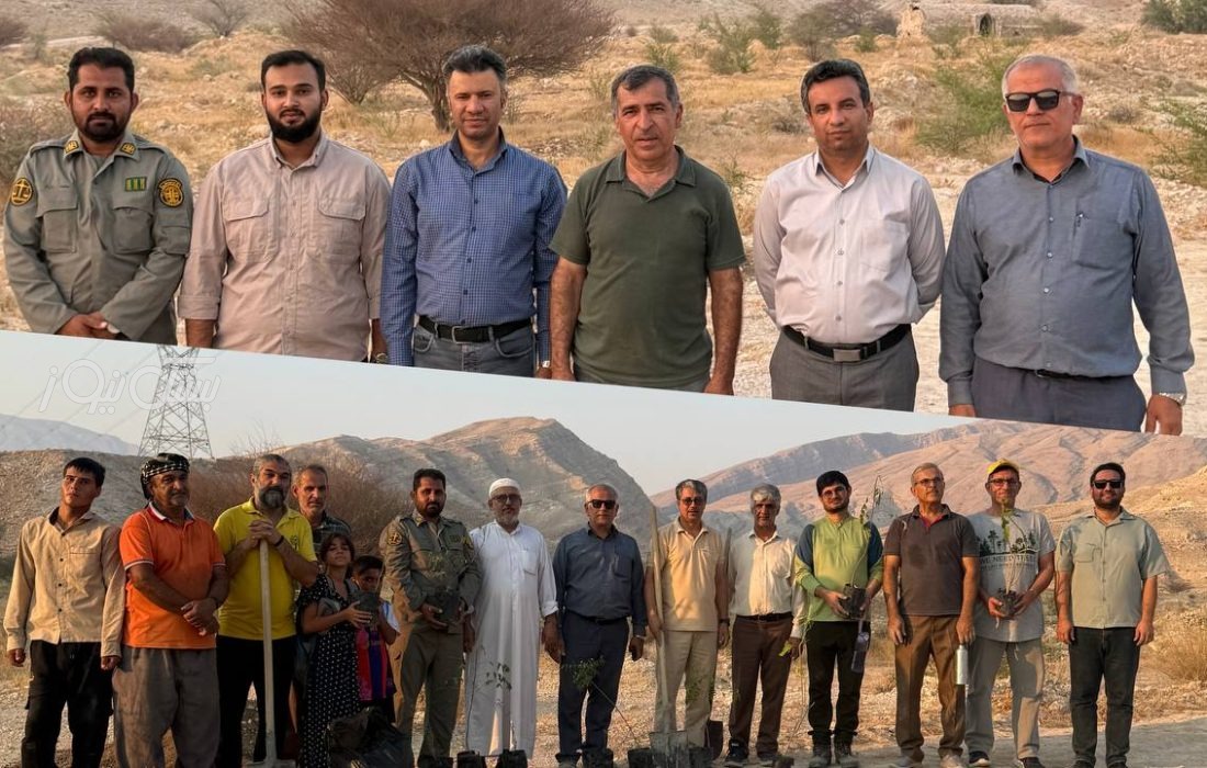 کاشت ۳۰۰ نهال بومی در پیاده‌راه دکتر صالحی‌پور پارک آبخیز بستک