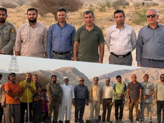 کاشت ۳۰۰ نهال بومی در پیاده‌راه دکتر صالحی‌پور پارک آبخیز بستک