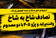 تصادف شاخ ‌به‌ شاخ وانت‌پراید و پژو ۴۰۵ با دو مصدوم